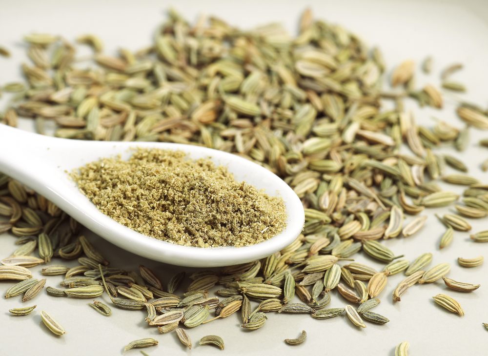 Fennel Seeds Powder